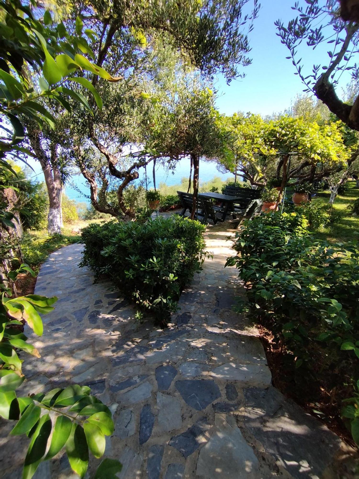 Villa Agia Aikaterini Amoudi Esterno foto